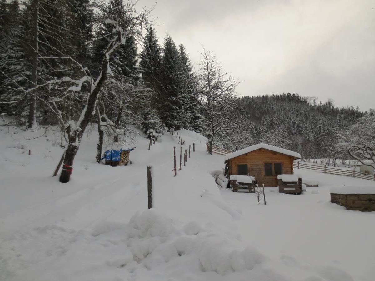 Landhaus Ziegelstadel Windischgarsten Kültér fotó