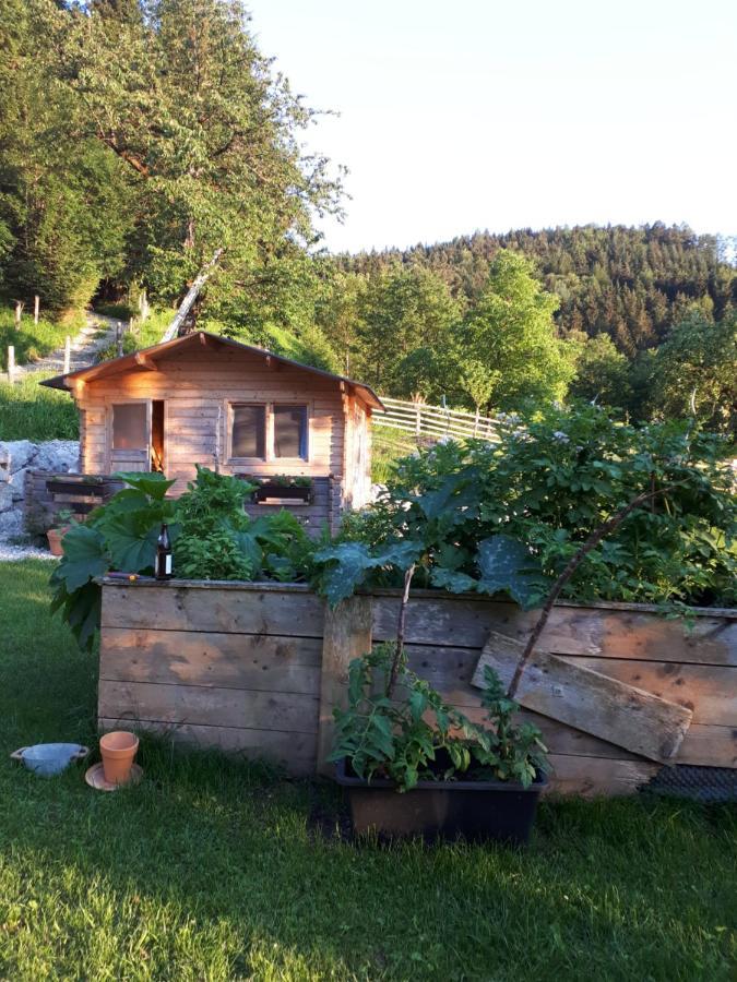 Landhaus Ziegelstadel Windischgarsten Kültér fotó